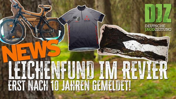 Leichenfund im Revier, Hochsitz-Saboteur gefasst, erste Wolf-Entnahme nach neuem BJG | DJZ News