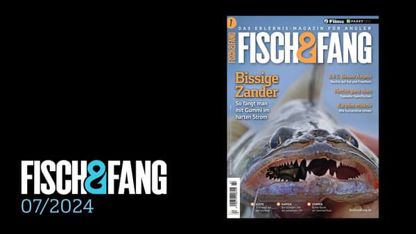 FISCH & FANG 07/2024