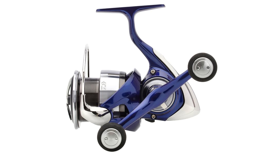 Daiwa 24 TDR Match & Feeder  QD