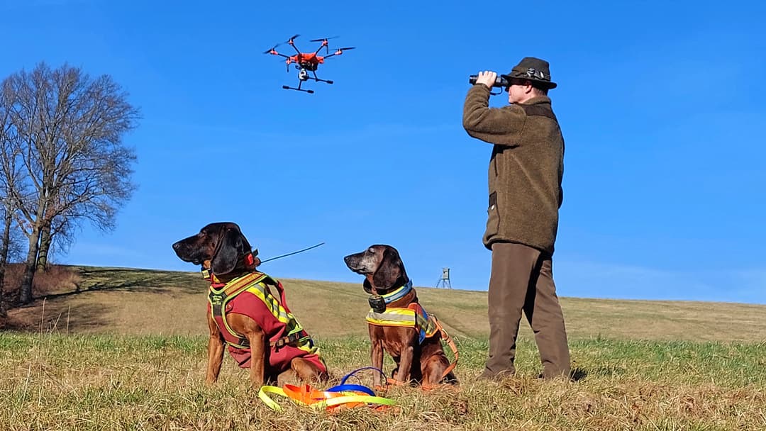 Technik statt Hund?