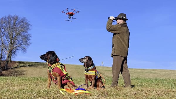 Technik statt Hund?