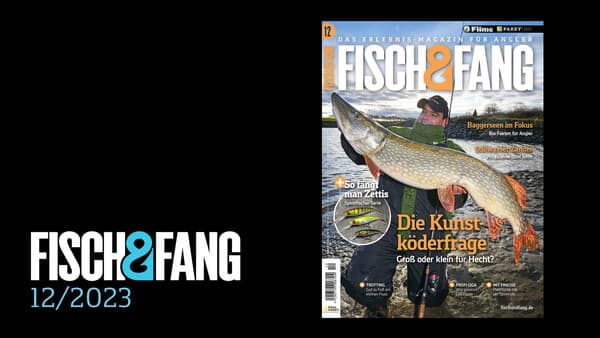 FISCH & FANG 12/2023