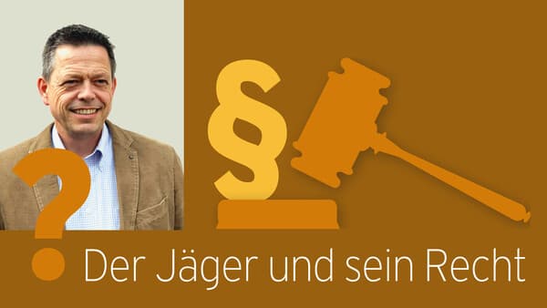 Der Jäger und sein Recht – Fremde Kirrung im eigenen Revier