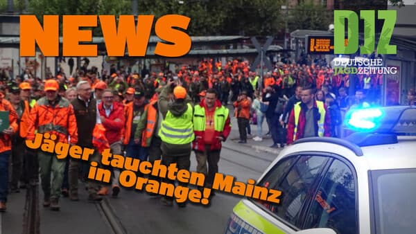 DJZ NEWS 19.10.2023