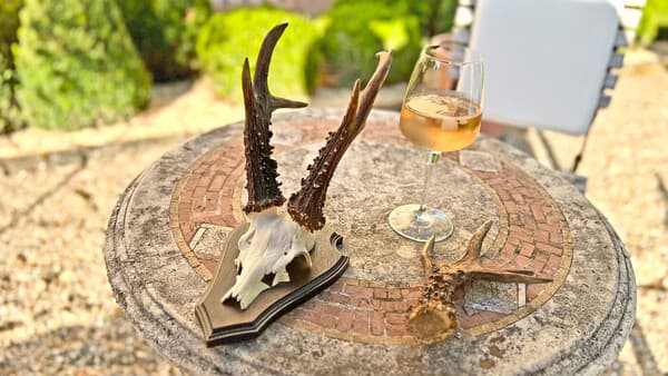 Bock auf Wein