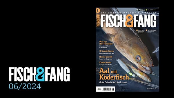 FISCH & FANG 06/2024