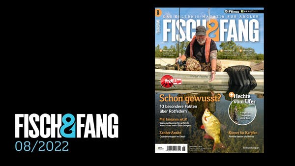 FISCH & FANG 08/2022