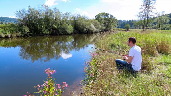 An der jungen Donau