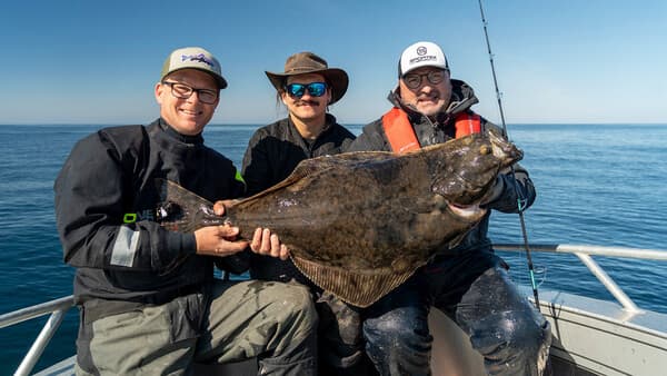 Senja „all-inclusive“ 