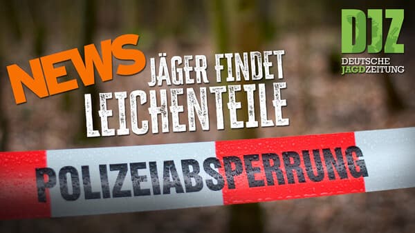 DJZ-News – Die wichtigsten Jagdthemen der Woche!