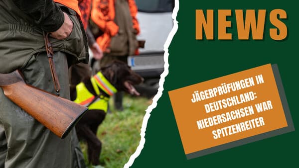 DJZ News 07.05.2025