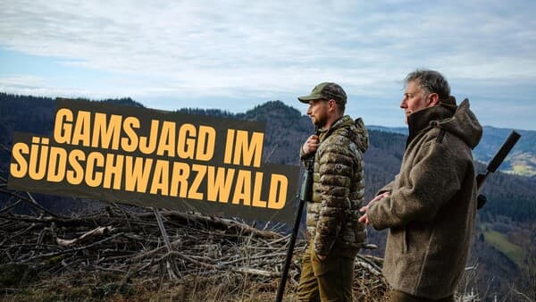 Gamsjagd im Südschwarzwald