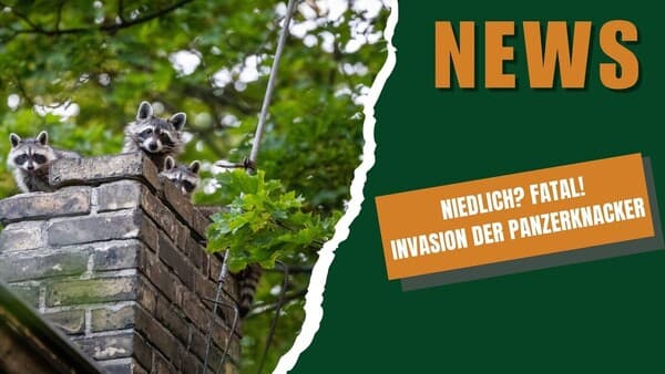 DJZ-News 18. März 2026 – Kurz & kompakt