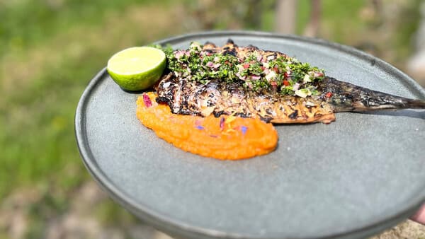 Fisch küsst Feuer -        Makrele vom Grill