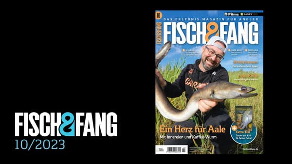 FISCH & FANG 10/2023