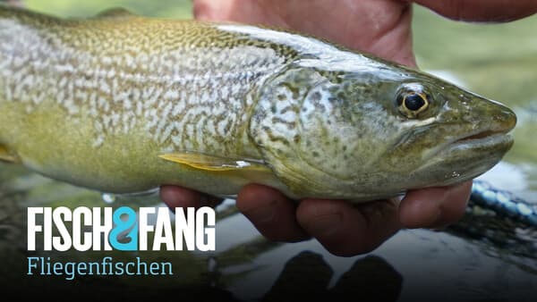 Audienz bei der Königin