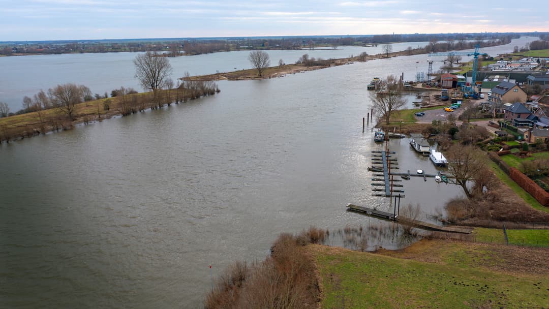 So ticken Zander nach Hochwasser