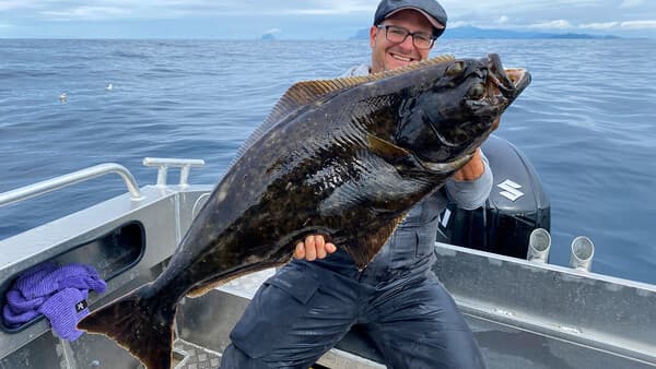 Heilbutt für Einsteiger - 