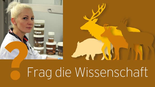 Frag die Wissenschaft 