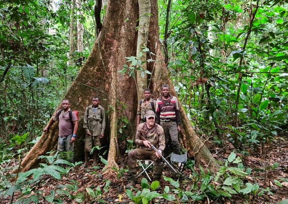 "Blattjagd" im Urwald