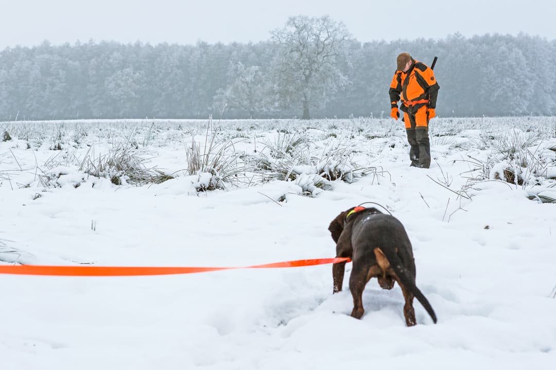 Nachsuche bei Schnee und Eis