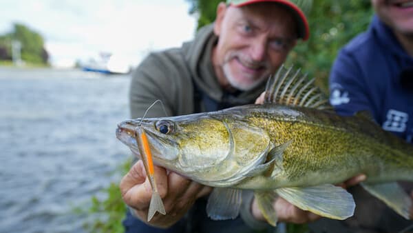 Die 7 größten Fehler beim Dropshotten
