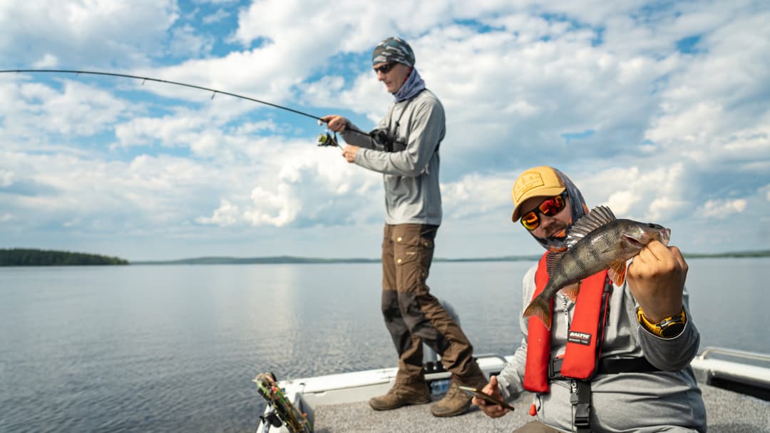 Biss auf Biss in Finnlands Norden