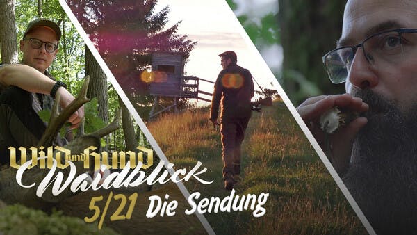 Waidblick - Die Sendung - Folge 5 2021