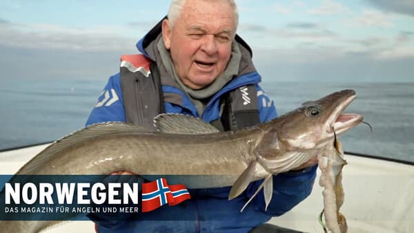 Zielfisch Leng