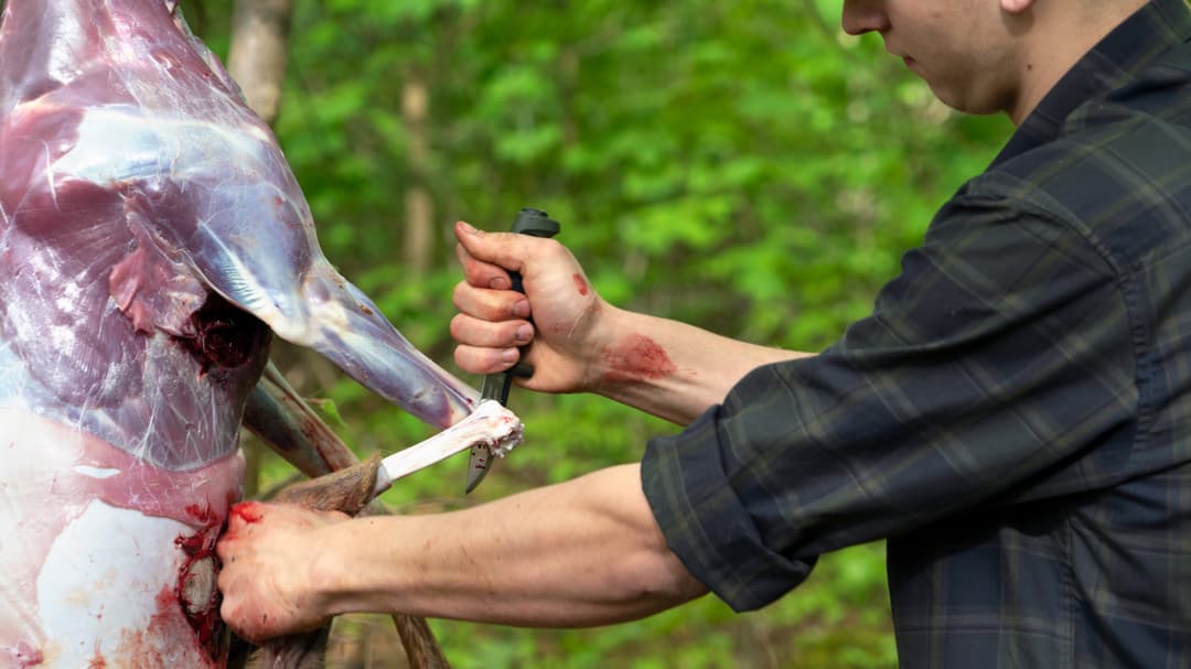 Outdoor-Wildkammer