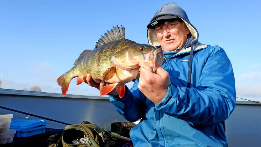 Ein  Leben  für  den  Raubfisch