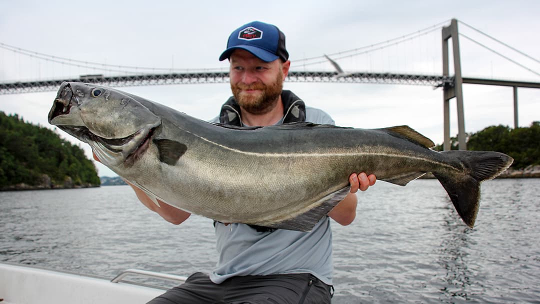 Das Großköhler-Projekt