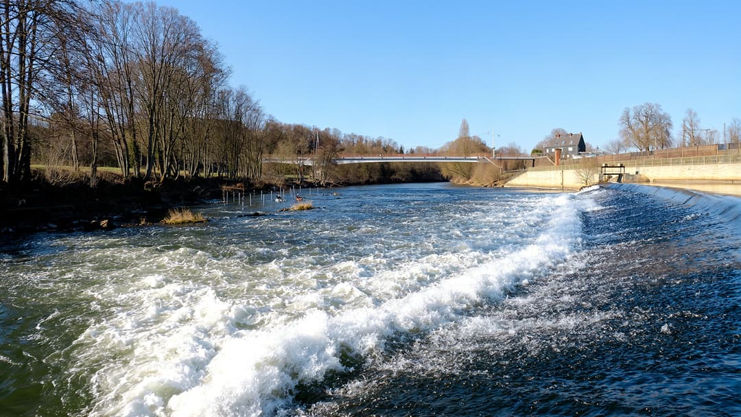 Hunnad prozendisch gudd zum fische’!
