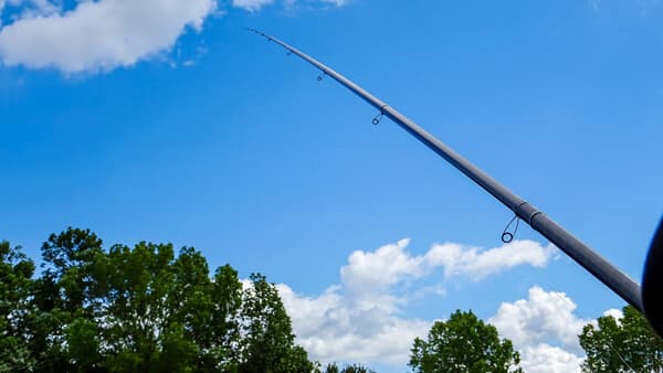 Die Antenne zum Fisch