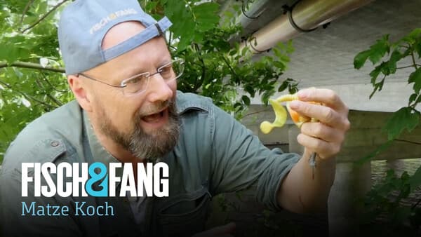 Anmoderation FISCH & FANG 08/2024
