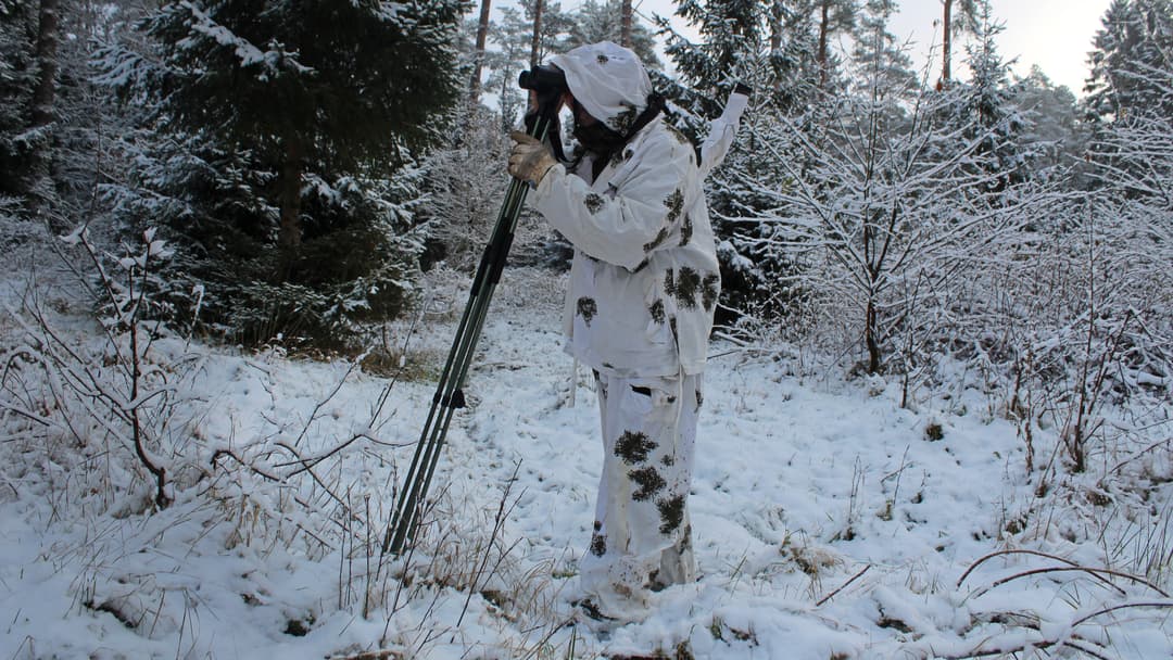 Lautlose Schnee-Pirsch