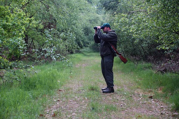 Von der Jagdverpachtung zum Pirschbezirk