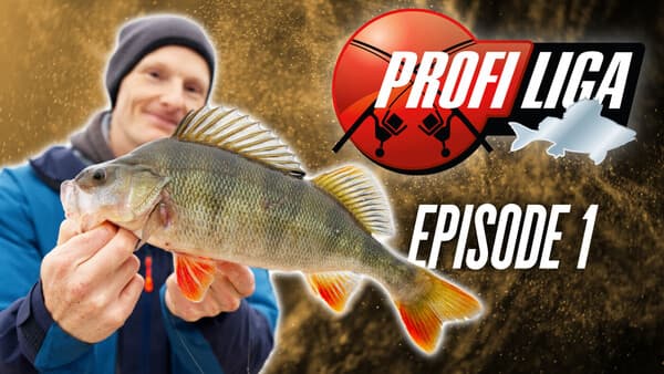 Profi-Liga Barsch: Folge 1
