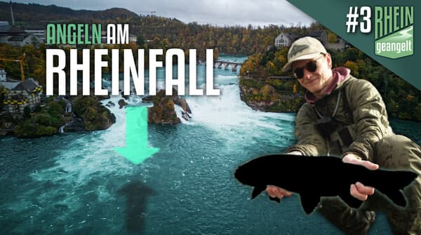 RHEINgeangelt: Der Rheinfall