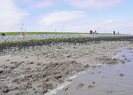 An der Nordsee läuft’s anders