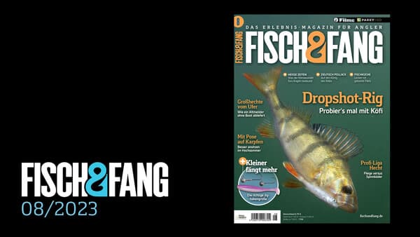 FISCH & FANG 08/2023