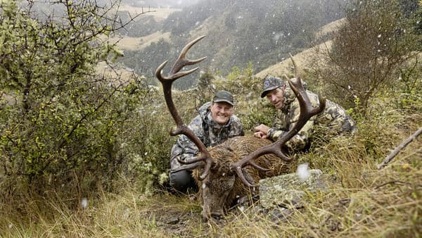 Hirschjagd vom Feinsten