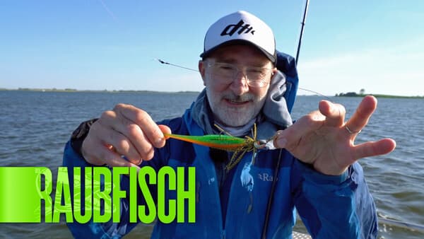 Chatterbait-Hechte