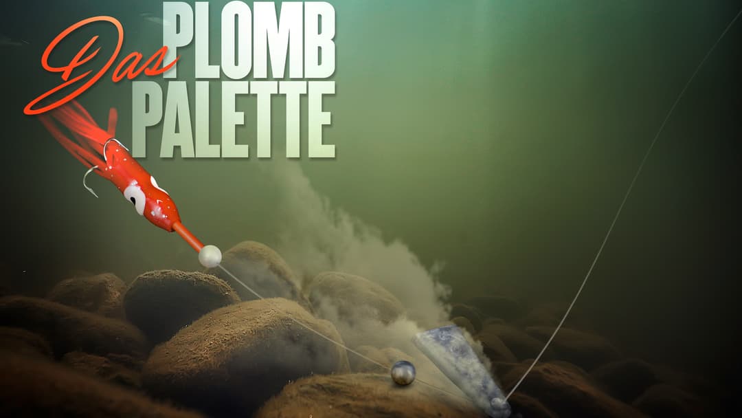 Die Montage - Das Plomb Palette
