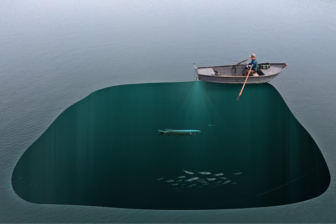 So ticken Hechte im Freiwasser