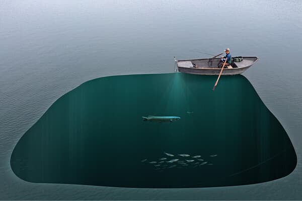 So ticken Hechte im Freiwasser