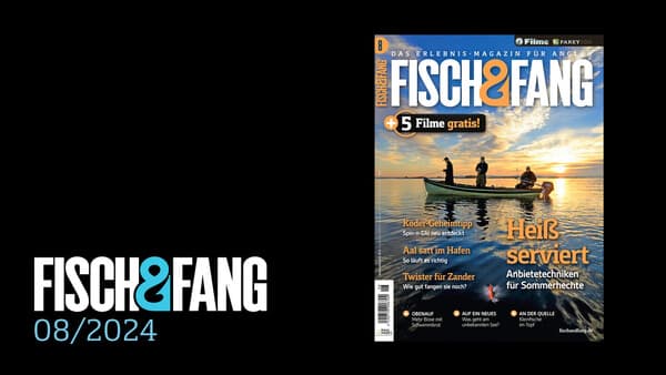FISCH & FANG 08/2024