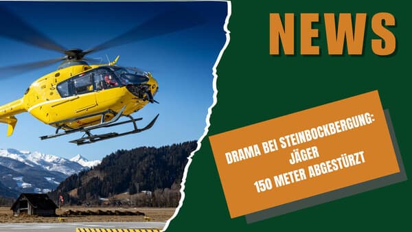 DJZ NEWS 21.05.2025