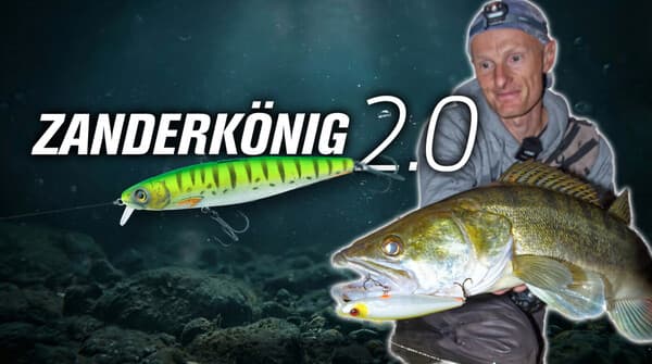 Zanderkönig 2.0