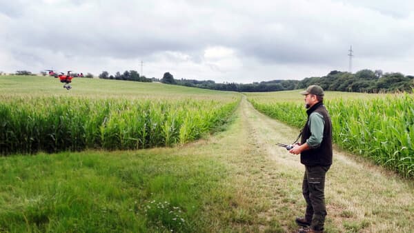 Drohne, Überblick und scharfe Hunde